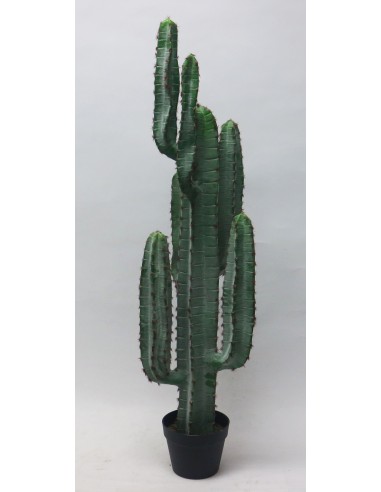 Pianta Cactus artificiale H115