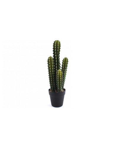 Cactus Artificiale 52 Cm