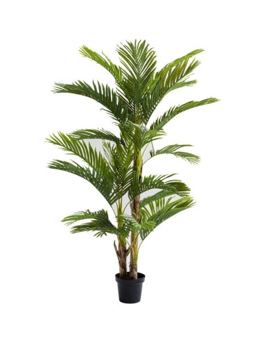 Pianta Palm Tree 190 Cm